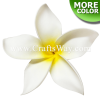 FSH144 Artificial Foam Plumeria Flowers (Type OU), available in size 7 inches and in 5 colors