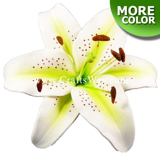 Foam Lily CraftsWay.,LLC Artificial Flowers & Crafts Items