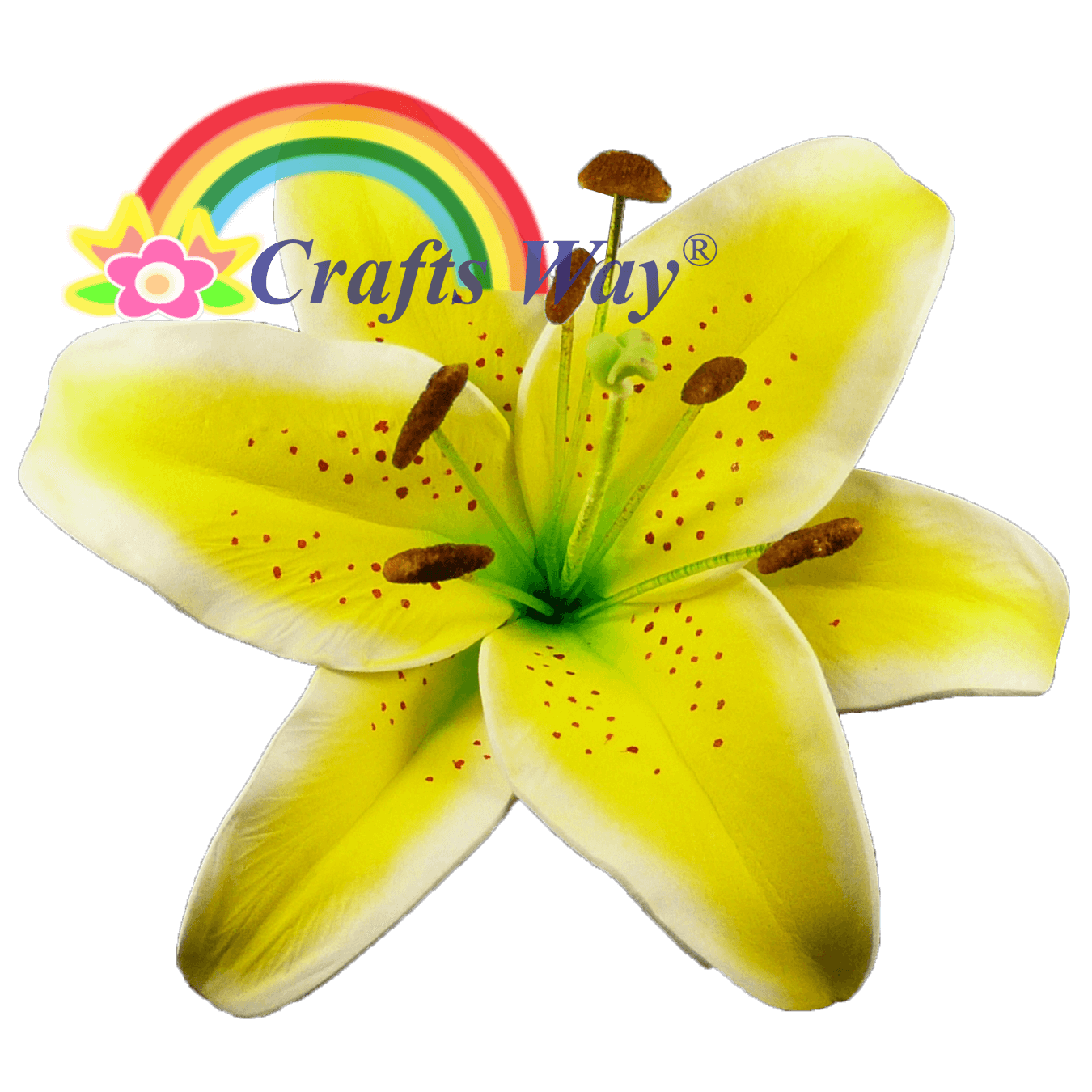 Foam Lily CraftsWay.,LLC Artificial Flowers & Crafts Items