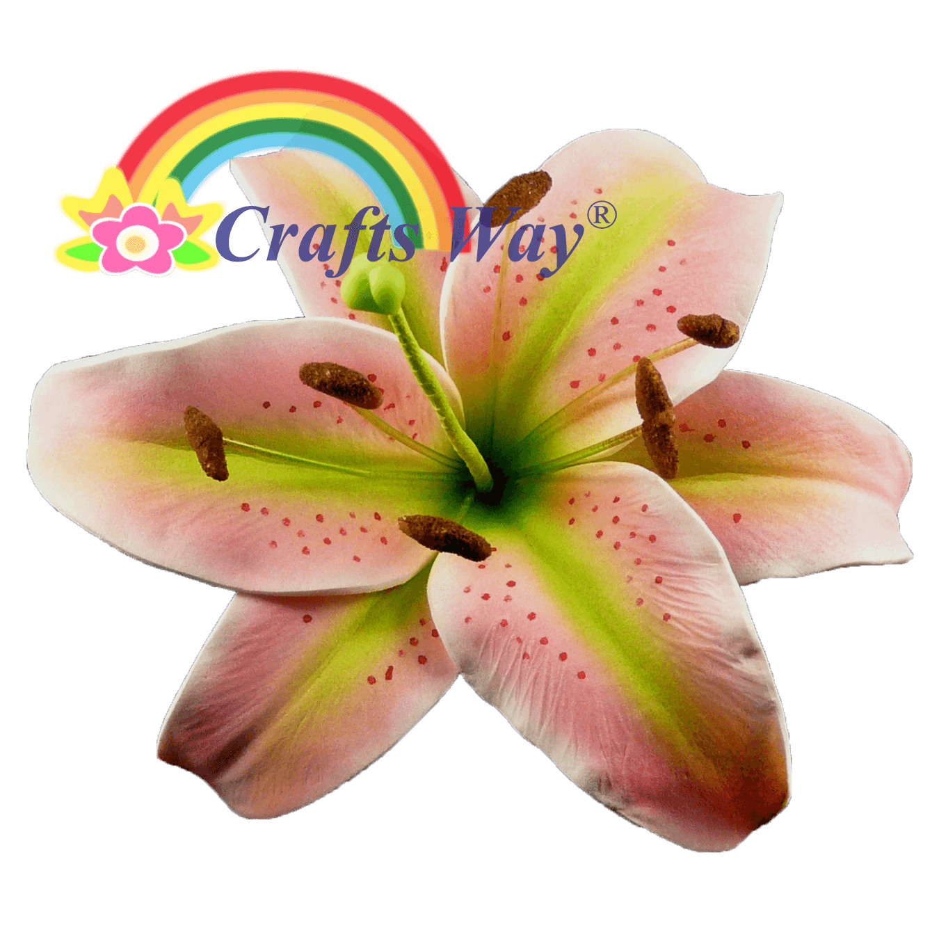 Foam Lily CraftsWay.,LLC Artificial Flowers & Crafts Items