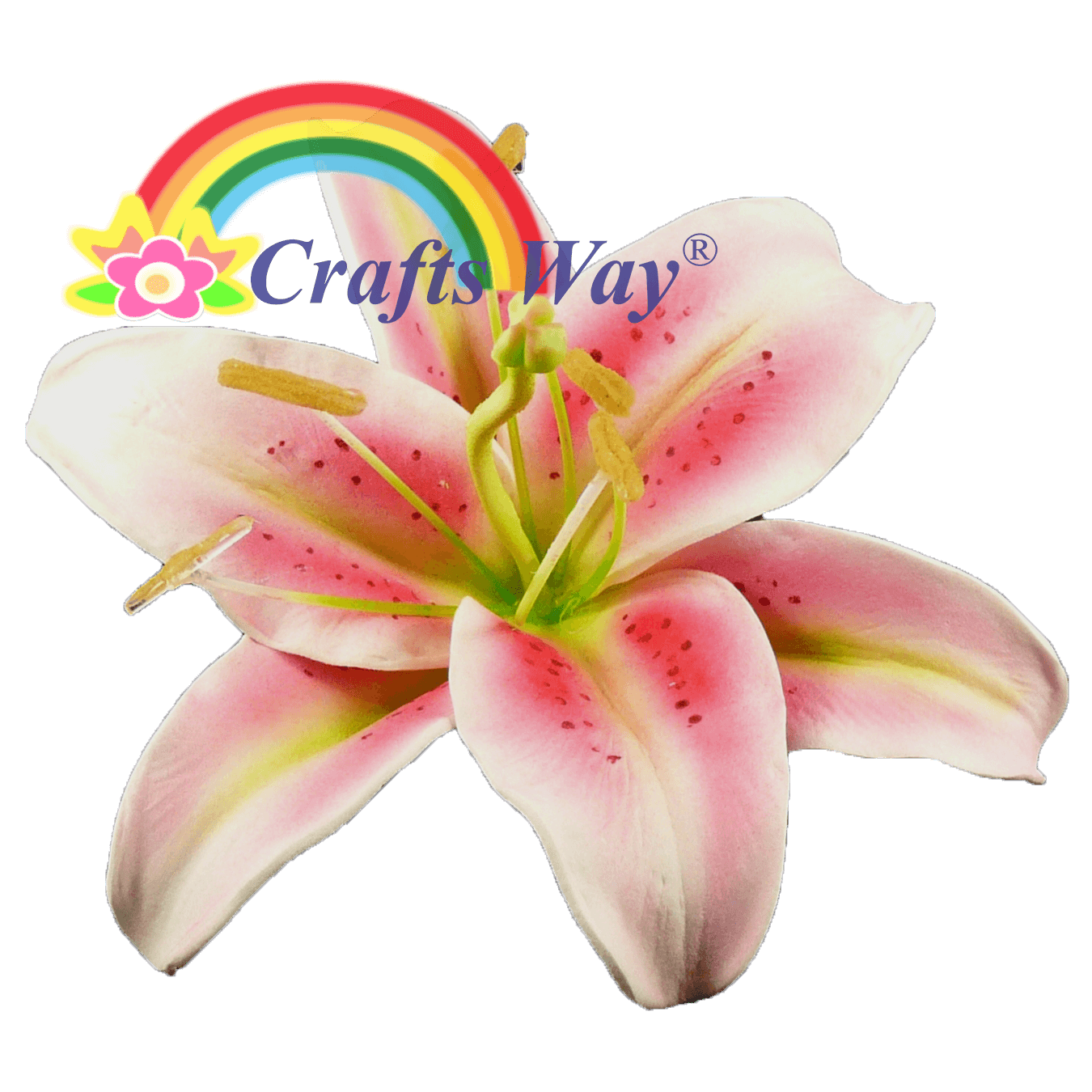 Foam Lily CraftsWay.,LLC Artificial Flowers & Crafts Items