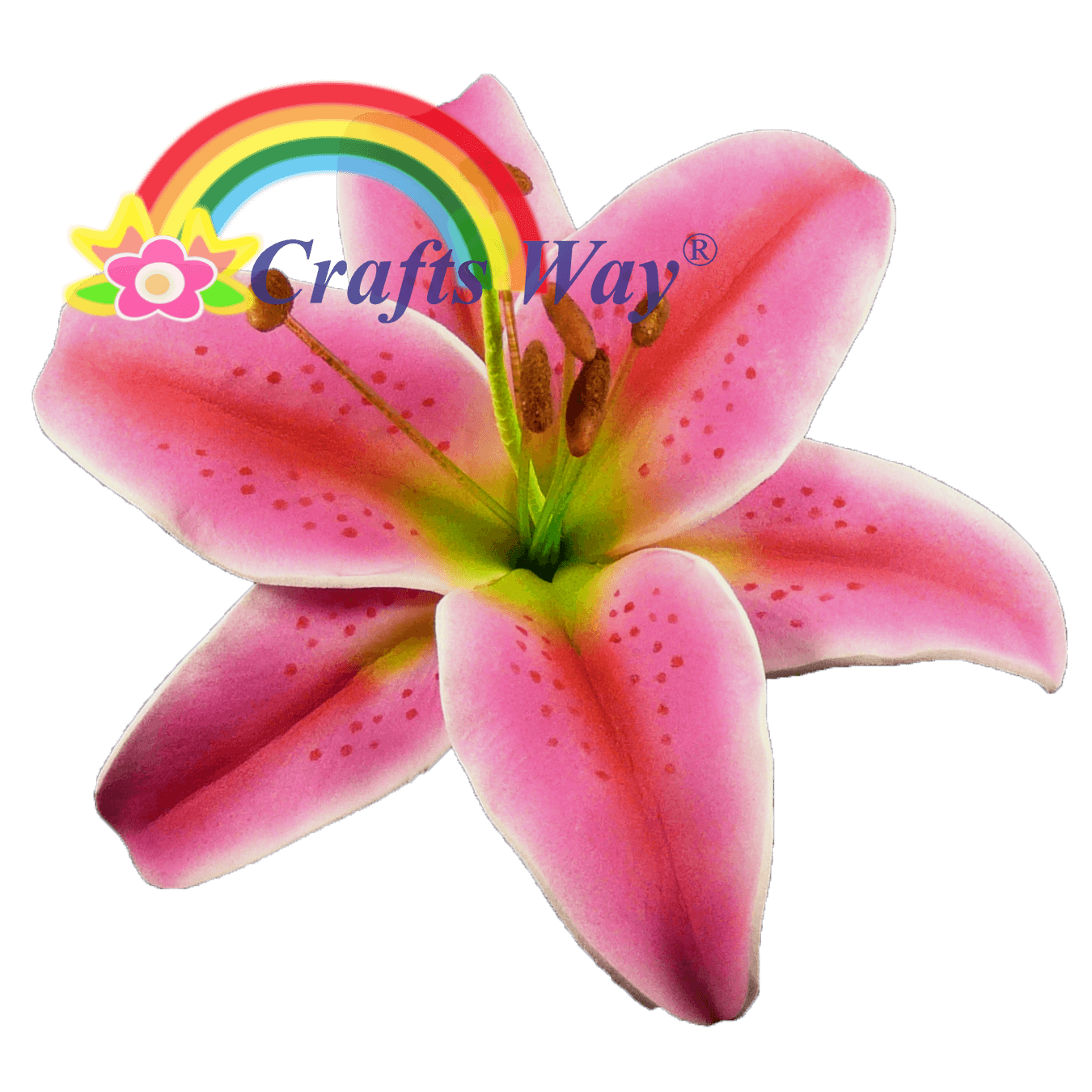 Foam Lily CraftsWay.,LLC Artificial Flowers & Crafts Items
