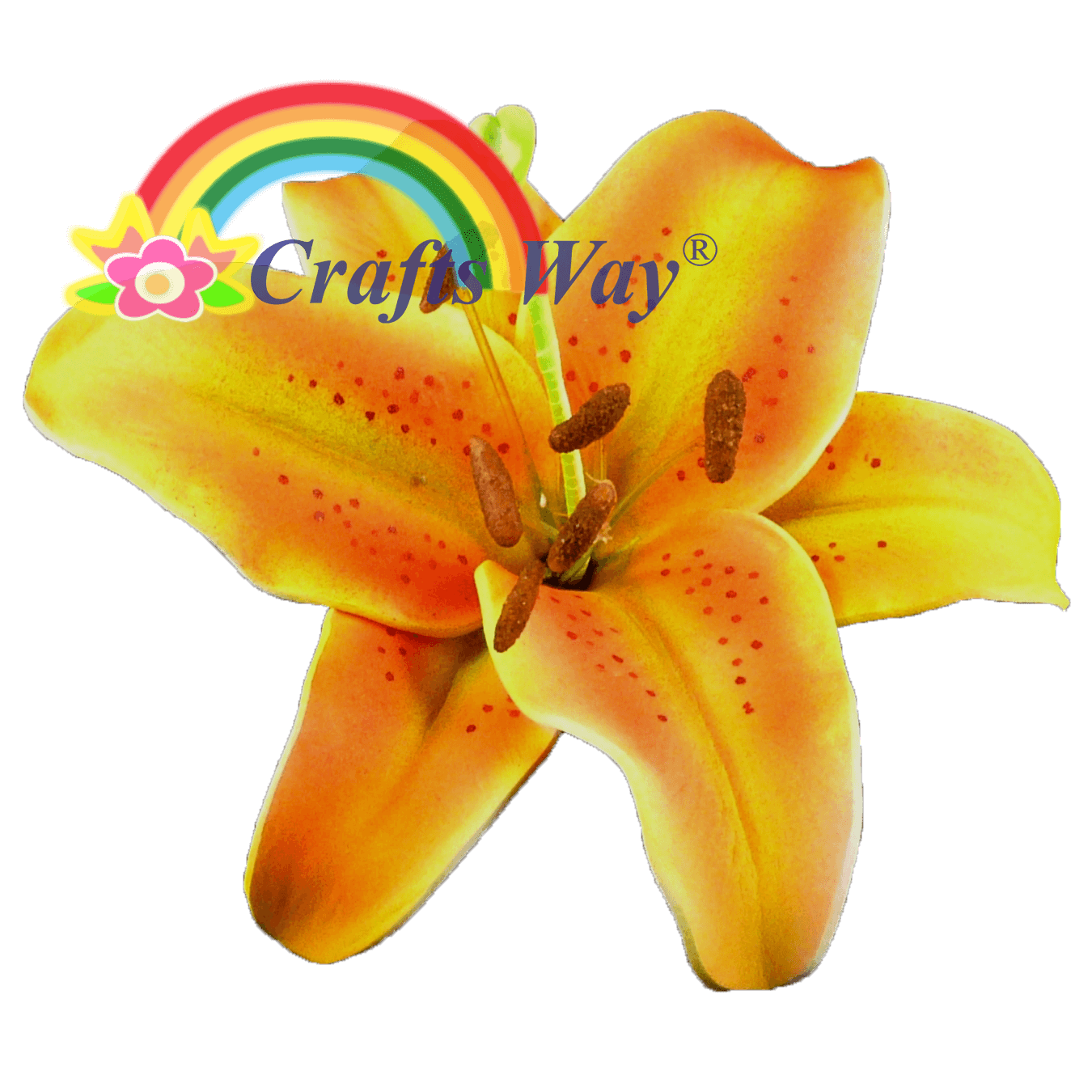 Foam Lily CraftsWay.,LLC Artificial Flowers & Crafts Items