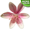 FSH2201 Artificial Foam Magnolia Flowers (Type A)