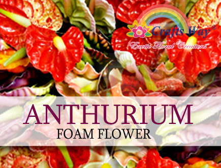 Anthurium