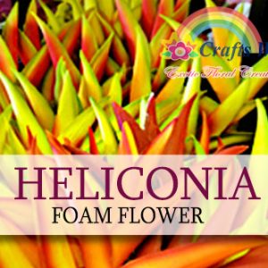 Heliconia