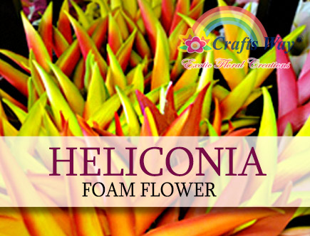 Heliconia