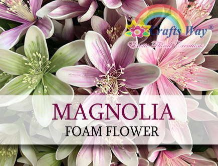 Magnolia