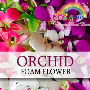 Orchid