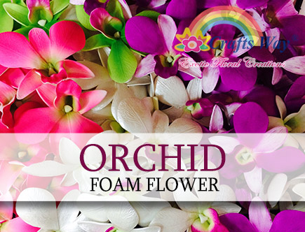 Orchid