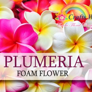 Plumeria