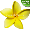 FSH150 Artificial Foam Plumeria Flowers (Type BA), available in size 1.5 inches and in 18 colors