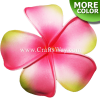 FSH152 Artificial Foam Plumeria Flowers (Type BI), available in size 3 inches and in 14 colors