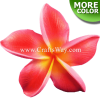 FSH154 Artificial Foam Plumeria Flowers (Type BU), available in size 3 inches and in 8 colors