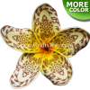FSH164-A Artificial Foam Plumeria Flowers (Type DU-A (Tribal)), available in size 4 inches and in 10 colors