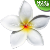 FSH168 Artificial Foam Plumeria Flowers (Type FO), available in size 4 inches and in 8 colors