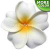 FSH169 Artificial Foam Plumeria Flowers (Type GA), available in size 3 inches and in 10 colors