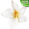FSH172 Artificial Foam Plumeria Flowers (Type GO), available in size 5 inches and in 6 colors