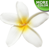 FSH173 Artificial Foam Plumeria Flowers (Type GU), available in size 4 inches and in 9 colors