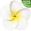 FSH174 Artificial Foam Plumeria Flowers (Type HA), available in size 3 inches and in 11 colors