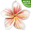 FSH176 Artificial Foam Plumeria Flowers (Type HI), available in size 4 inches and in 5 colors