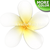 FSH178 Artificial Foam Plumeria Flowers (Type HU), available in size 2 inches and in 2 colors
