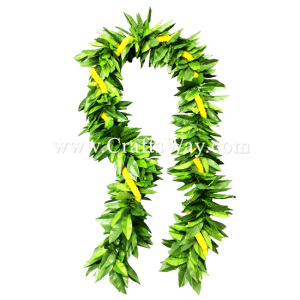 LEI-10B Untied Maile & Ilima Lei, available in length 72 inches and in green.