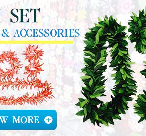 Hula & Lei Set