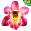 FSH305-S Foam Orchid (Cymbidium Type DS) is available in sizes 3 inches and in 13 colors.