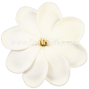 FSH407 Artificial White Foam Tiare Flowers (Type F)
