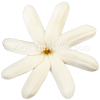 FSH409 Artificial White Foam Tiare Flowers (Type H)