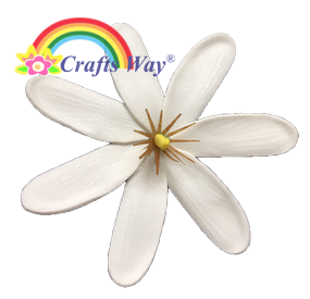 Size (M): 3¼”
