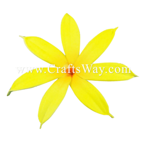 FSH421 Artificial Foam Tiare Flowers (Type W) Sample1