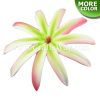 FSH422 Artificial Foam Tiare Flowers (Type X)