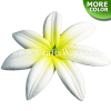 FSH427 Artificial Foam Tiare Flowers (Type AI)
