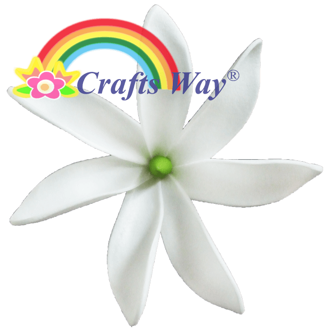 #01 White