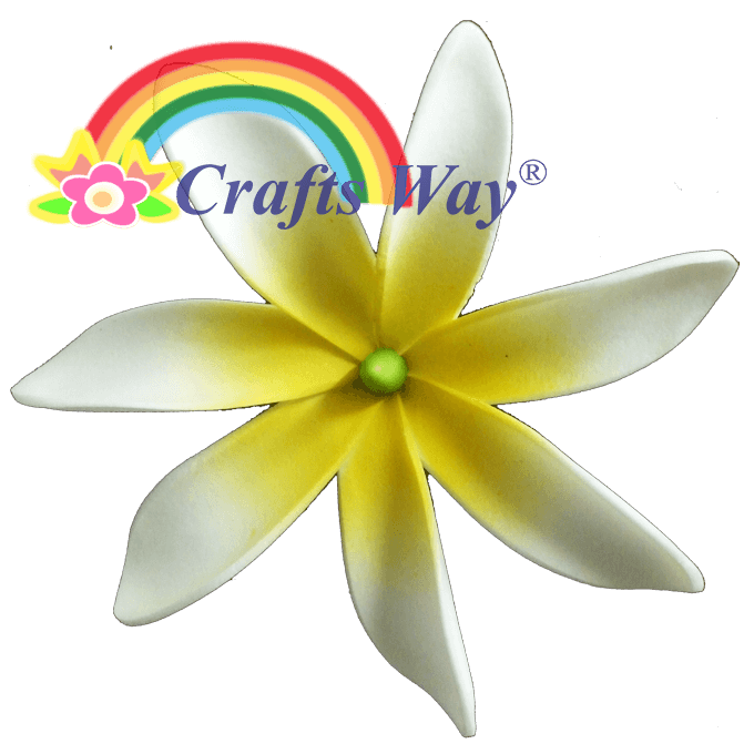 #02 White/ Yellow Center