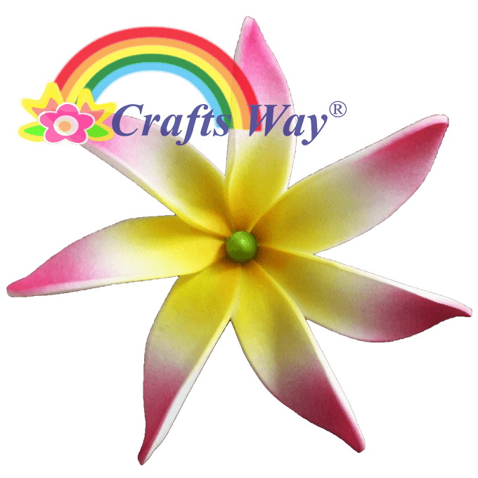 #03 Yellow/ White/ Pink Edge