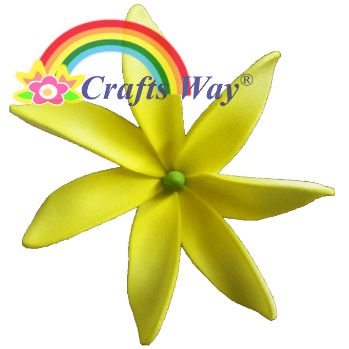 #04 Yellow