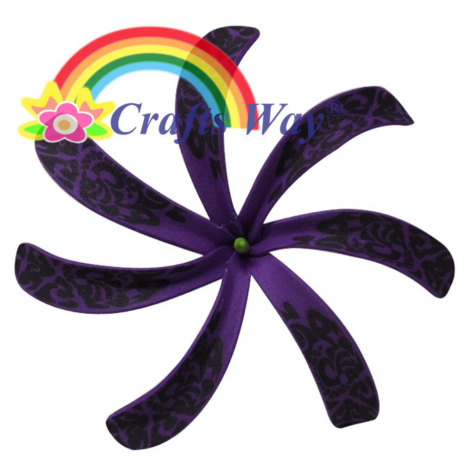 #06 Purple/ Black