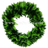 HP01-01(L) Braided Maile Leaves Hip Band (L)