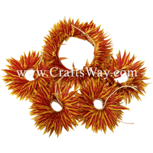 HULA-SET01 Braided Smooth Leaves Hula Set #1