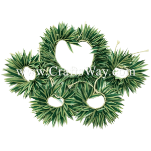 HULA-SET06 Braided Smooth Leaves Hula Set #6