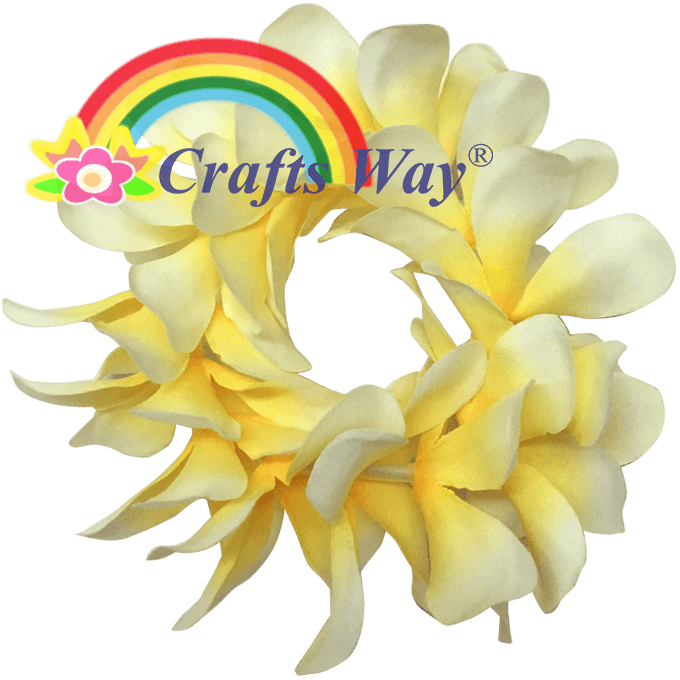 #01 White/ Yellow Center