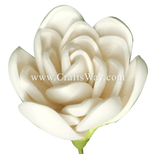 FSH1901 Artificial Foam Tuberose Flowers, available in size 2 inches and in white.