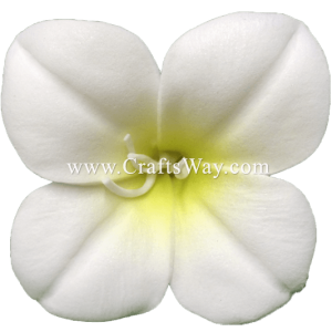 FSH2101 Artificial Foam Bikkia Flowers, available in size 2.5 & 3.5 inches and in white.