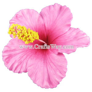 FSH501 Artificial Foam Hibiscus, available in sizes 2½ inches, 3 inches, and 4 inches and in 6 colors.