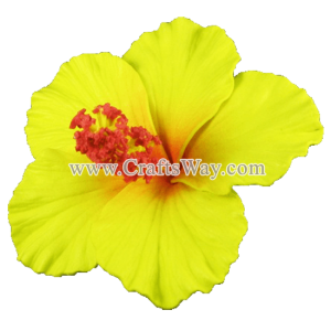 FSH501 Artificial Foam Hibiscus, available in sizes 2½ inches, 3 inches, and 4 inches and in 6 colors.