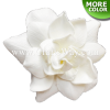 FSH610 Artificial Foam Gardenia Flowers (Type H)