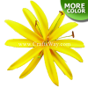 FSH801 Artificial Foam Double Spider Lily Flowers (Type A), available in sizes 3.5 inches and in 15 colors.